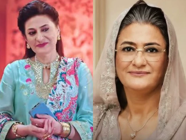 saba hameed s contrasting roles in bas tera saath ho and dar e nijaat photo screengrab